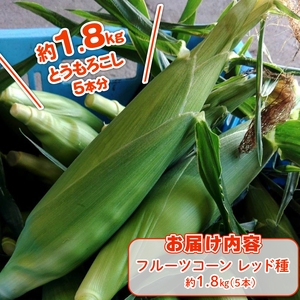 【2026年先行予約 / 数量限定 とうもろこし】フルーツコーン レッド種 5本 とうもろこし