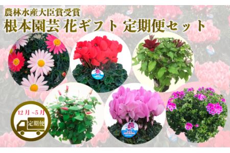 【2026-27年 先行予約】季節の花 定期便 6回 (12-5月) 色おまかせ 根本園芸 | 花ギフト定期便
