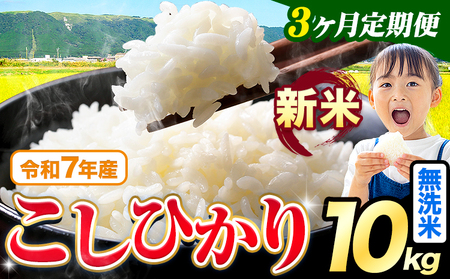 【3ヶ月定期便】令和7年産 無洗米 こしひかり 10kg 《お申込み翌月から出荷》 