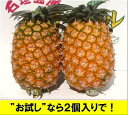 【ふるさと納税】先行予約《2025年夏季 順次発送》黄金パイン大玉2個入 計3.0kg ｜ 産地直送 沖縄 石垣 フルーツ パイナップル パイン 黄金パイン SI-51