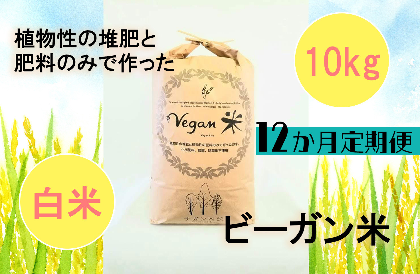 
CQ028 【12か月定期便】ビーガン米10kg　白米【植物性で育てた完全無農薬のサガンベジブランド】
