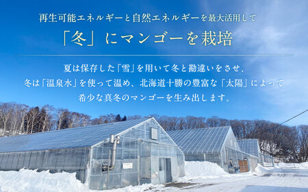 ［先行受付］おとふけ産マンゴー「白銀の太陽プレミアム」Lサイズ×2玉【D17】《2025年11月上旬より発送開始予定》