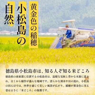 ふるさと納税 小松島市 新米 5kg 9月から順次発送 にじのきらめき 令和7年度産 コシヒカリ に匹敵 |  | 01