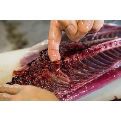 ふるさと納税 南国市 土佐沖一本釣り戻りカツオわら焼き生たたき【2節、12人前1.3kg〜1.5kg】 |  | 01