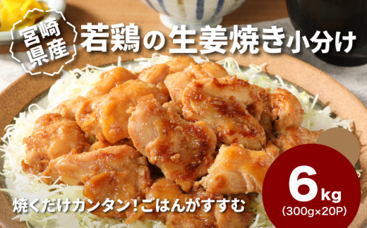 
                  簡単調理 宮崎県産若鶏の生姜焼き 小分け 6kg(300g×20P)_K16_0133_2
                