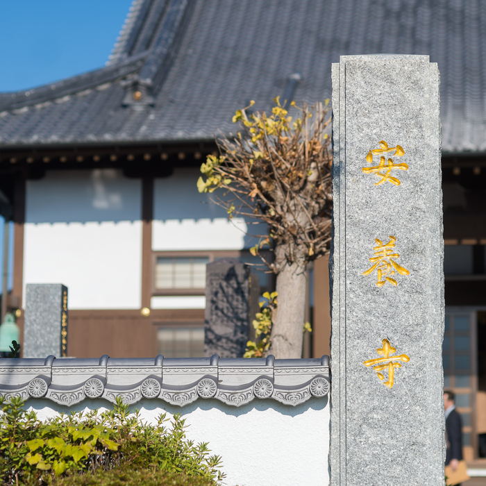 「茶の心と仏の教え体験プラン(90分)10名まで」【読経・説法体験 煎茶体験 茶殻の活用体験】 (H047109)