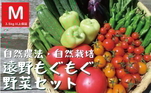 自然農法 遠野 もぐもぐ 夏野菜セット Mサイズ 約9～12種類 【 3.5kg 以上保証】 栽培期間中 農薬不使用 農家 朝採り 直送 遠野もぐもぐカントリー 【先行予約：2025年8月初旬より順次発送予定】