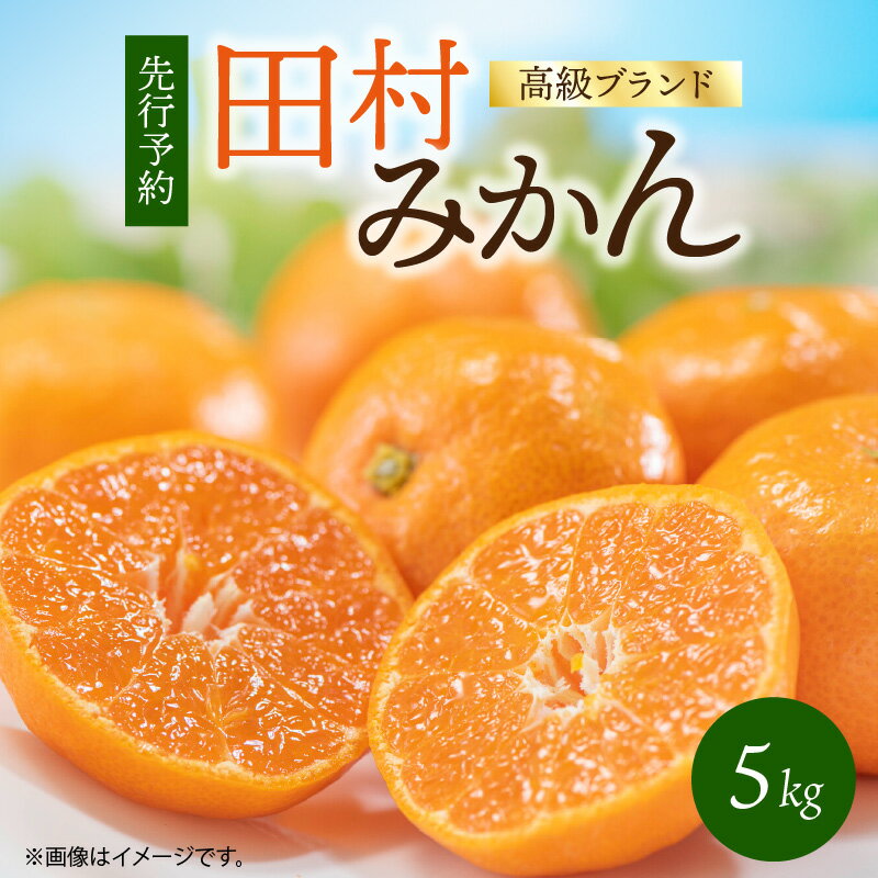 【ふるさと納税】【限定】 【2025年 先行予約】 田村みかん 5kg 高級ブランド 有田みかん 温州みかん みかん 柑橘 果物 フルーツ 果実 濃厚 甘い コク ミネラル 酸味 甘味 国産 食品 食べ物 お取り寄せ 和歌山県 湯浅町 送料無料