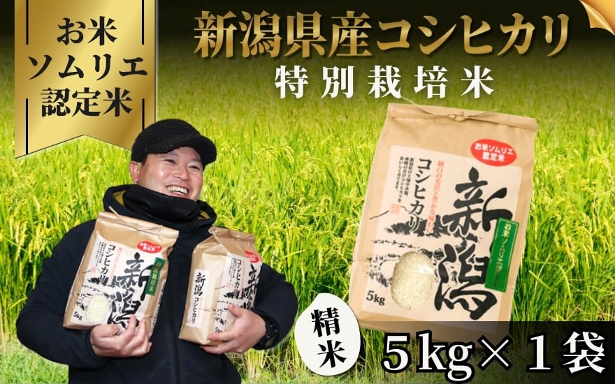 
                  令和7年産 コシヒカリ 5kg 五泉市産 特別栽培米 お米ソムリエのお米 | 新潟産コシヒカリ 新潟県産コシヒカリ 新潟県産こしひかり 米 お米 こしひかり 白米 精米 ブランド米  新潟県 五泉市 エバーグリーン農場
                