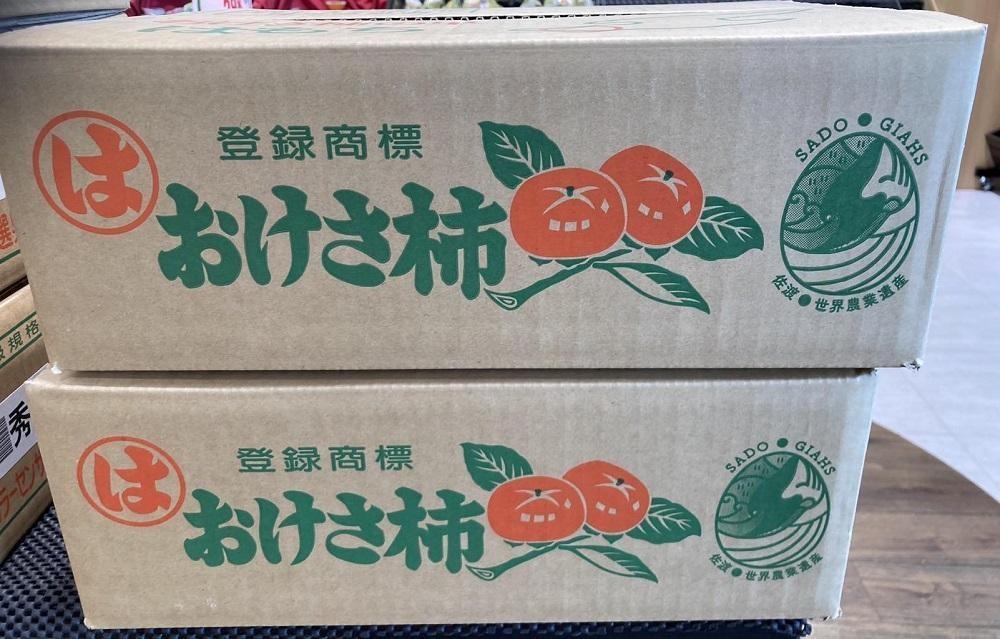 少雨と高温が続いた春。羽茂の柿は大玉に仕上がった