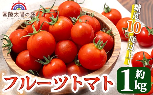 再エネと次世代農法が育んだ高糖度フルーツトマト約1kg フルティカ 濃厚 野菜 甘い 茨城県 フルーツトマト 糖度 10度以上 おつまみ 中玉トマト トマト やさい 完熟 お弁当 贈り物 サラダ 産地直送 プレミアムフルーツトマト 【常陸太陽の庭】【ho1371】