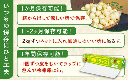 【2024年4月より順次発送】JAS認定 有機栽培 新玉ねぎ 8kg【百笑会】 [DA04]