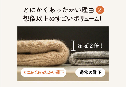 とにかくあったかい靴下 女性用（22〜24cm）【ベージュ】くつ下 レディース