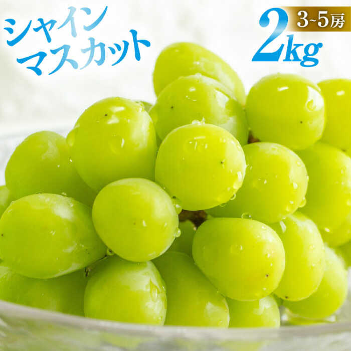 【ふるさと納税】【2025年8月中旬〜発送】【数量限定】シャインマスカット 2kg（3房〜5房）/ マスカット シャインマスカット ますかっと ぶどう 葡萄 ブドウ フルーツ 果物 / 南島原市 / 長崎県農産品流通合同会社 [SCB084]
