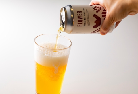 鶴居村クラフトビール Brasserie Knotの定番４種類各４缶＋【道東限定】DOTO４缶セット【北海道 地ビール ご当地 ブラッスリーノット 】