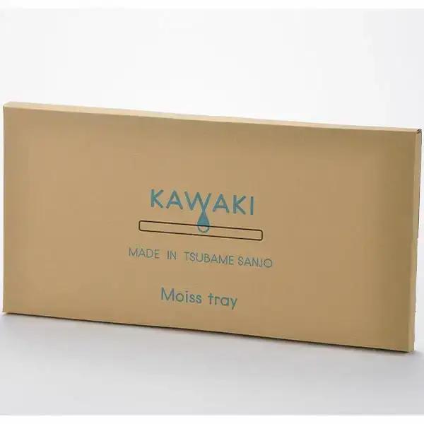 吸水プレート モイストレイ スリム 滴る水をしっかり吸収 吸水マット 水切り 皿洗い キッチン用品 bwsSELECTION [ビーワーススタイル]【010P131】