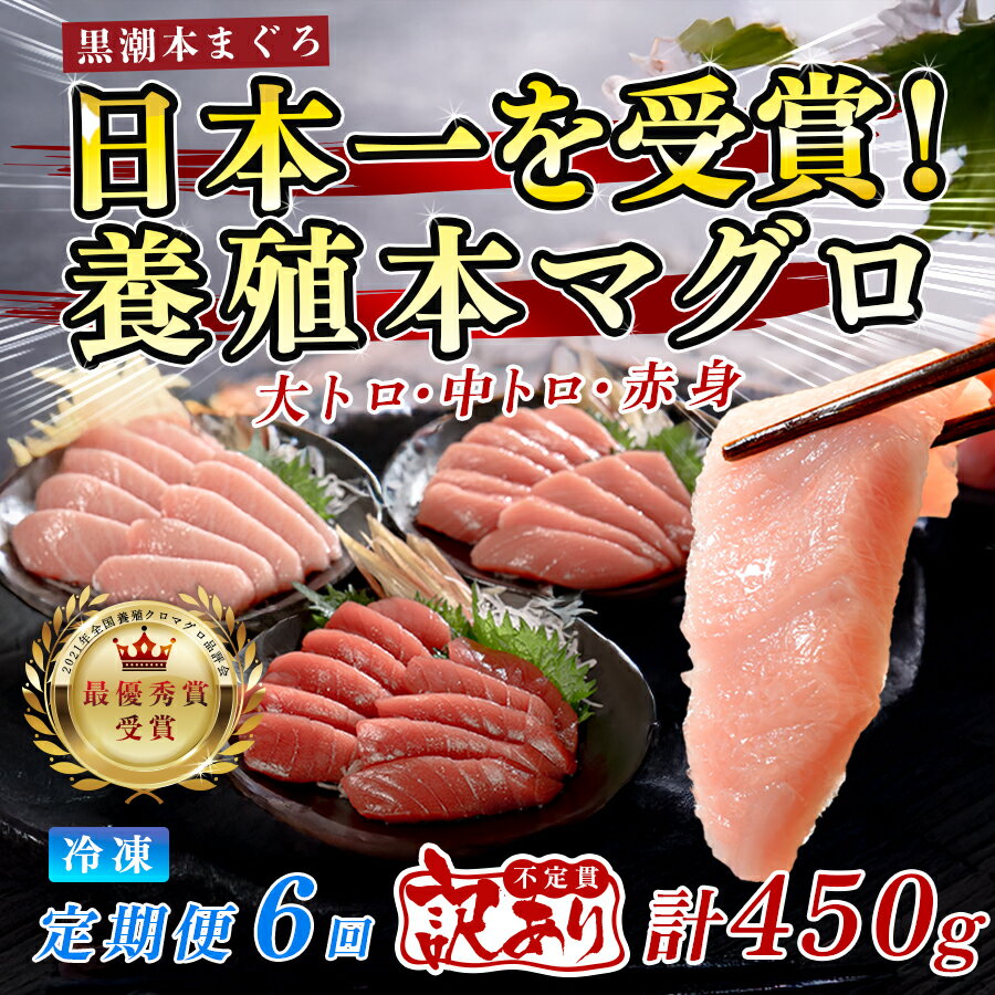 【ふるさと納税】訳あり まぐろ マグロ 本鮪 黒潮本まぐろ 赤身 中トロ 大トロ 定期便 6回 計450g × 6回 刺身 さしみ 最優秀賞 全国養殖クロマグロ品評会 受賞 魚 魚介類 海鮮 柵 サク 冷凍 お取り寄せ 産地直送 ギフト 贈答 高知県 大月町