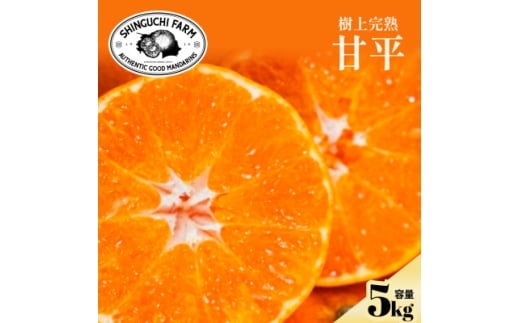 ＜数量限定＞今シーズン発送!＜訳あり＞甘平 5kg＜E70-166＞【1710495】