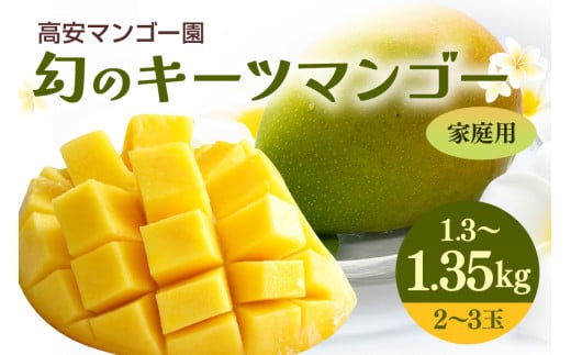 【 先行予約 2025年 発送 】高安マンゴー園 キーツマンゴー 1.3-1.35kg(家庭用) 沖縄県産  完熟マンゴー 果物 くだもの フルーツ 沖縄 お取り寄せ ギフト 産地直送 農家直送 糸満市 