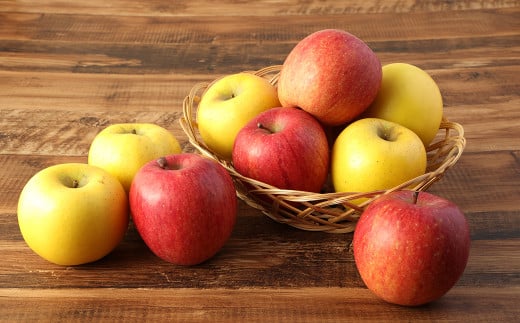 二戸産りんご サンふじ＆シナノゴールド 約5kg （12～23玉）／りんご リンゴ 林檎 フルーツ 果物 旬 お取り寄せ 食べ比べ 【2025年12月発送予定】