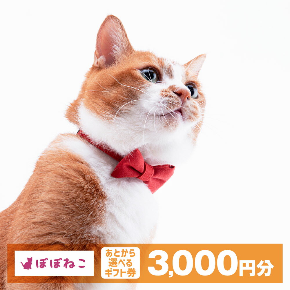 【ふるさと納税】ぽぽねこギフト券（封筒タイプ）3,000円分「共通返礼品」 金券 商品券 猫 ネコ 首輪 迷子札 鈴 ハーネス リード ペット用服 猫用服 猫服 保護服 エリザベスカラー ペット ペット用品