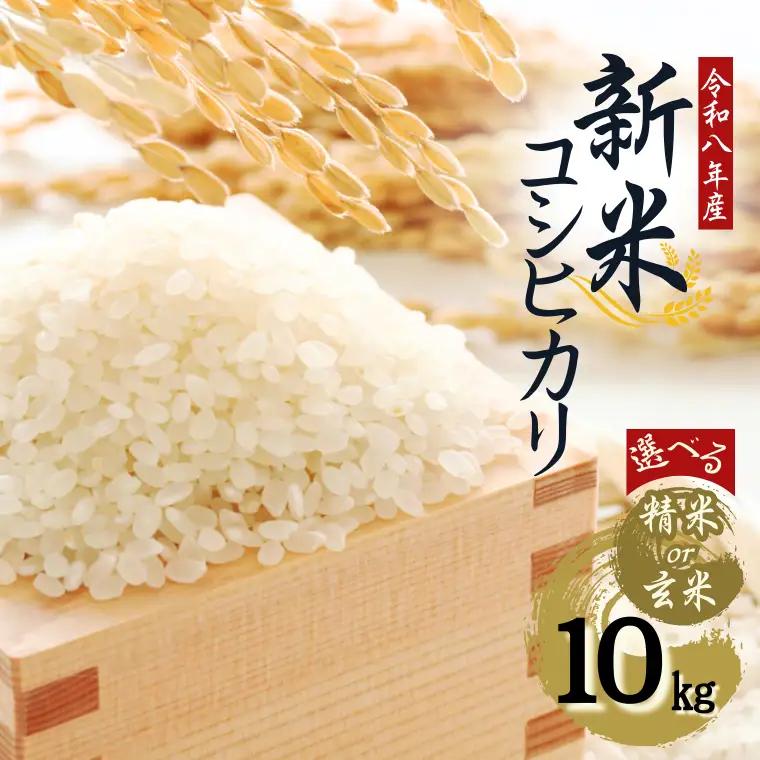 【令和８年産】先行予約受付中！水野農園の加須市北川辺産　コシヒカリ　10㎏　《選べる！精米or玄米》｜お米　米　令和８年　こしひかり　新米