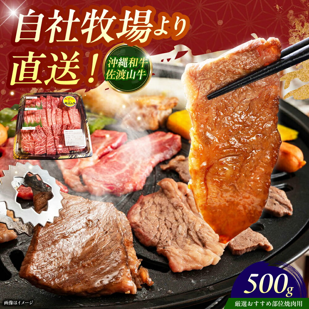 【ふるさと納税】【厳選！おすすめ部位】沖縄和牛 佐渡山牛 焼肉用 500g 牛肉 焼肉 焼き肉 和牛 赤身 人気 おすすめ 国産 極上 冷凍 沖縄市 / 肉のサブロー [BCBC003]