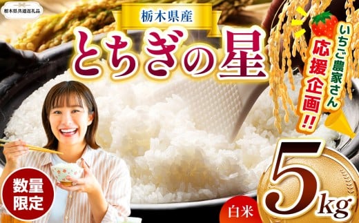 【栃木県共通返礼品】  訳あり 定期便 数量 限定 令和7年度産 とちぎの星 5kg| とちぎの星  白米 ごはん おいしい 品種 お米 米 おにぎり  ふるさと納税 那珂川町 栃木県