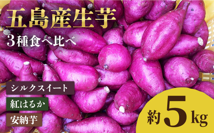 【2025年1月先行予約】五島産生芋5kg 安納芋 シルクスイート 紅はるか ふくむらさき 和菓子 スイーツ 五島市/芋蔵林 [PDO007]