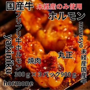 【食肉総合卸 丸正】厳選国産牛ホルモン焼肉用［153M04］