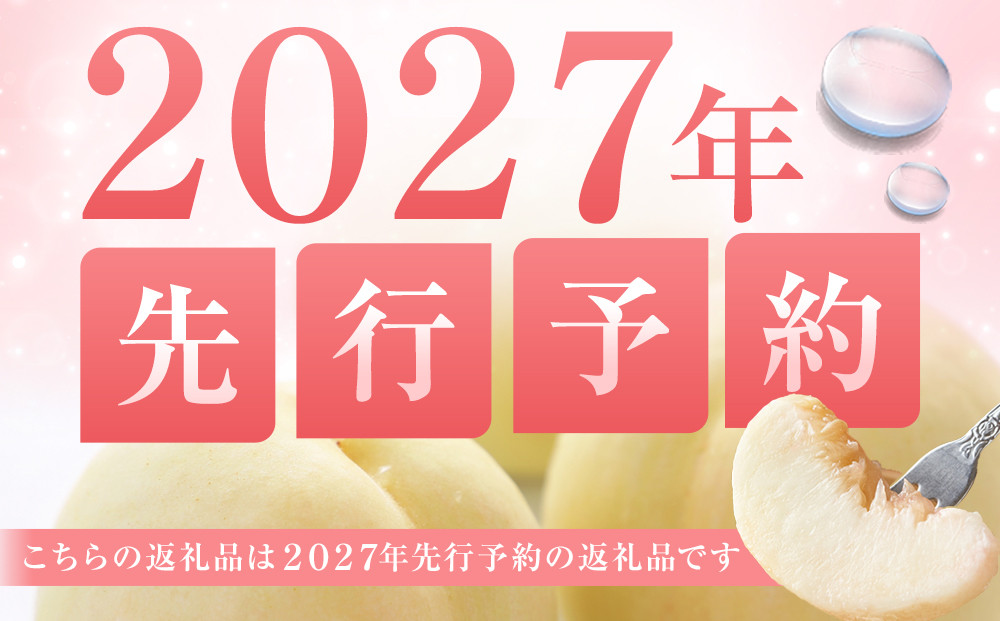 桃 2024年 先行予約 白桃 5玉 合計約1.3kg もも モモ 岡山市産 国産 フルーツ 果物 ギフト