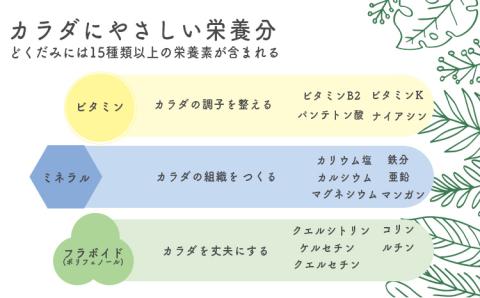 《天然・無農薬栽培》  どくだみ茶「きりしま日和」ティーパックタイプ(1.5g×60包) 国産の健康茶 [健康茶 薬草茶 日本産 お茶 ノンカフェイン 『返礼品特集20000円以下』-宮崎県高原町] 