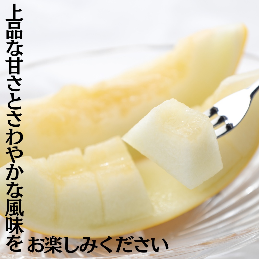メロン クレオパトラ 2玉 (20M.)| 鳥取県 湯梨浜町 果物 フルーツ 特産品