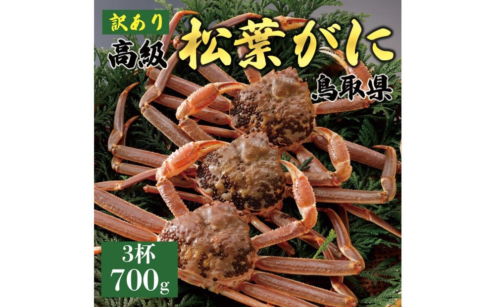
            1052.【2025年11月発送】特撰 松葉がに（なま）【訳あり】700g超のサイズ 食べ応えあり 3杯
          