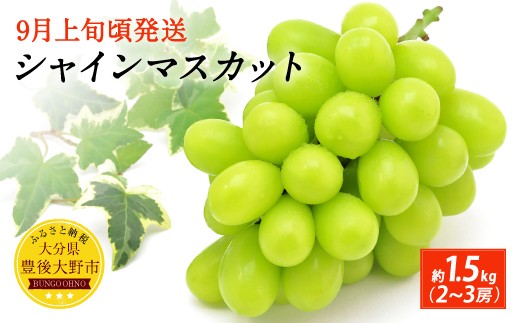 062-1082x2 【先行予約】 シャインマスカット 約1.5kg (2-3房) 【2026年9月上旬から10月上旬発送予定】