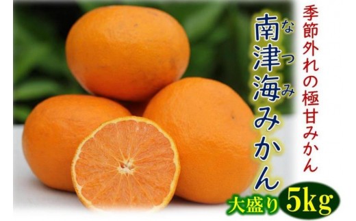 貴重な極甘みかん「南津海（なつみ）」約5kg_1508R