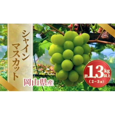 
                  《2026年発送》岡山県産 シャインマスカット 1.3kg以上 2～3房【1736765】
                