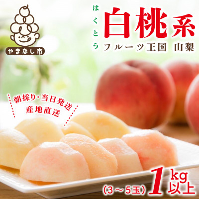 
            山梨県産 桃 白桃系 1kg以上(3～5玉) フルーツ王国・山梨県から産地直送【1137261】
          