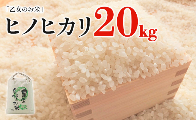 
            令和6年産「乙女のお米」ヒノヒカリ　20kg
          