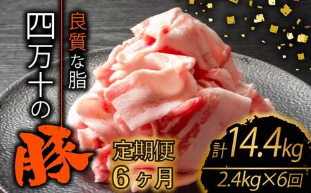 【定期便6回】高知県産 ブランドポーク 豚肉 切り落とし 計14.4kg（2.4kg×6ヶ月連続お届け) 2Lコース | 肉 豚肉 国産豚肉 高知県産豚肉 豚肉 大容量 豚肉 しゃぶしゃぶ 豚肉 バラ肉 小分け 小間切れ スライス 切り落とし 冷凍 真空パック 簡単調理 細切れ 大容量 肉 高知県 須崎市 TM40000