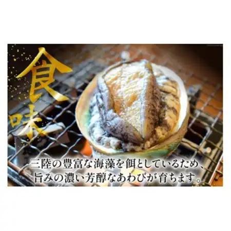 三陸産　天然蝦夷あわび(冷凍)約1kg　6～8個(捌き方・レシピ付き)_魚介・海産物 鮑（アワビ） 貝 あわび_【配送不可地域：離島】【1589193】