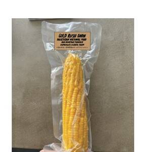 大雪山の黄金 ～ 岸田農園の GOLD RUSH CORN【1610197】