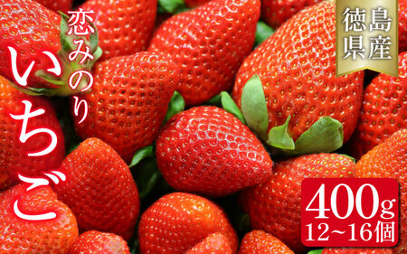 いちご400g 恋みのり 旬 果物【いちご】