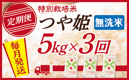 【定期便】【無洗米】 令和7年産 山形県産 つや姫 5kg (5kg×1)  3回配送