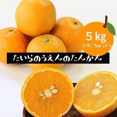 ＜2027年2月より順次発送＞ 平農園のたんかん ＜ご自宅用＞約5kg