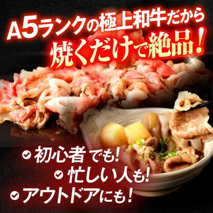長崎和牛A5ランク牛ロース小間切れ（400g入）[OCH003]
