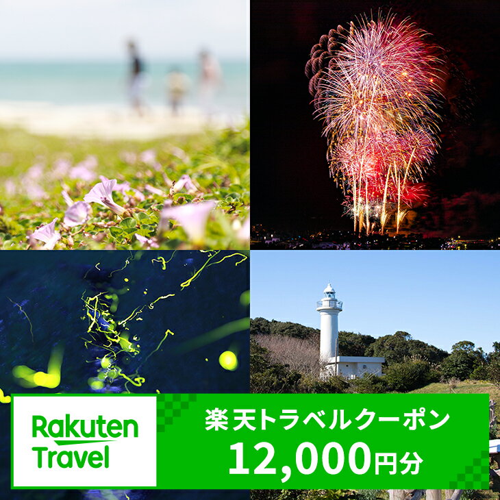【ふるさと納税】千葉県いすみ市の対象施設で使える楽天トラベルクーポン 寄付額40,000円（クーポン額12,000円）