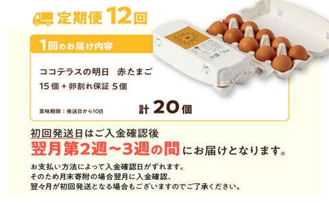 【12ヵ月定期便】ココテラスの明日（赤たまご）15個 + 5個保証（計20個）