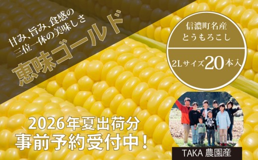 2026年夏の早期予約受付開始！TAKA農園『恵味（めぐみ）ゴールド』2Lサイズ（1本450ｇ相当）×20本セット、約9kg｜生でも食べられる信濃町名産とうもろこし／スイートコーンの人気品種 令和8年7月下旬～8月下旬に出荷予定 【長野県信濃町ふるさと納税】