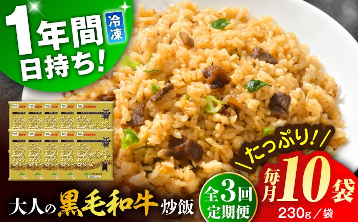 
                  【全3回定期便】熊本県産 こだわり炒飯 大人の黒毛和牛炒飯 計2.3kg (230g×10) 冷凍食品 チャーハン 熊本県 特産品 焼きめし 冷凍炒飯 惣菜 冷凍チャーハン 焼飯 焼き飯 やきめし 炒飯 惣菜 冷凍 温め 時短 レンチン 簡単 ごはん 菊陽町【ユーユーフーズ株式会社】 [BHCS019]
                